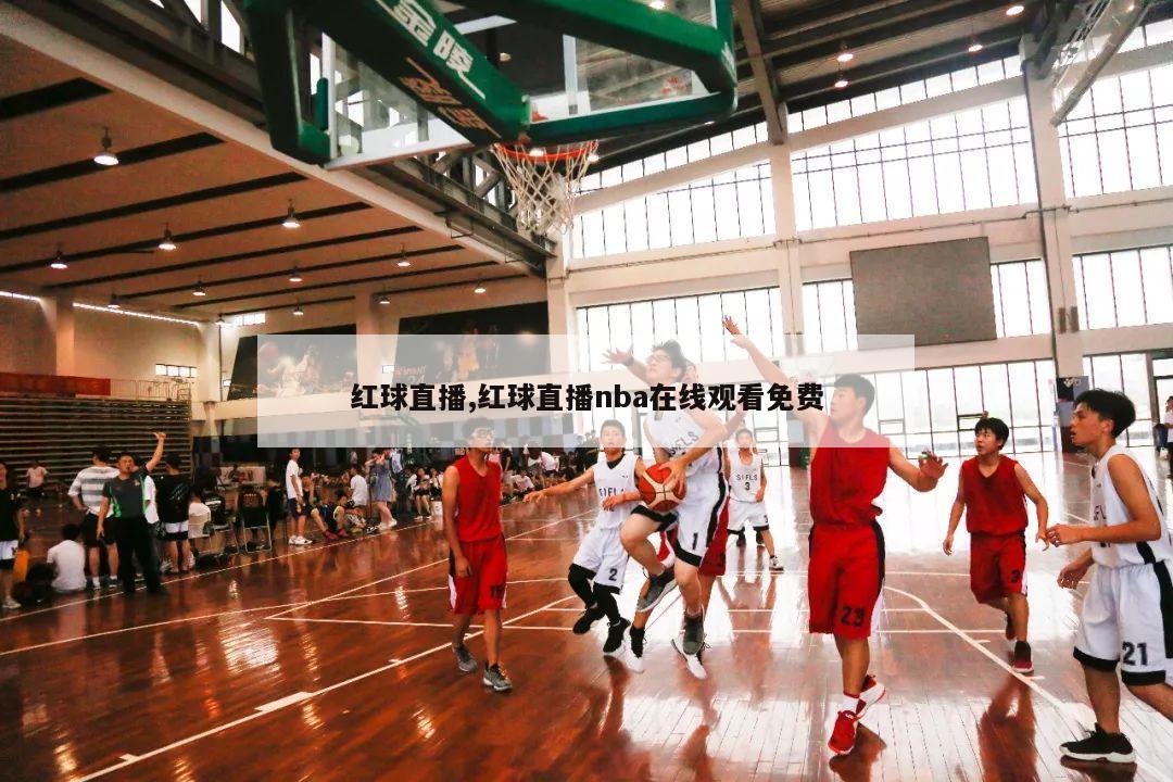 红球直播,红球直播nba在线观看免费