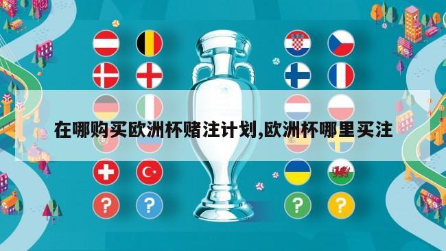 在哪购买欧洲杯赌注计划,欧洲杯哪里买注