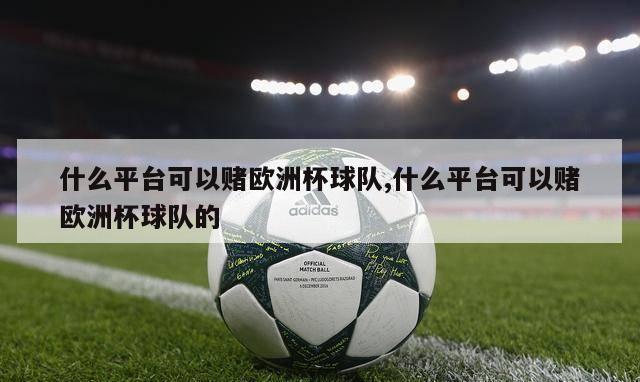 什么平台可以赌欧洲杯球队,什么平台可以赌欧洲杯球队的