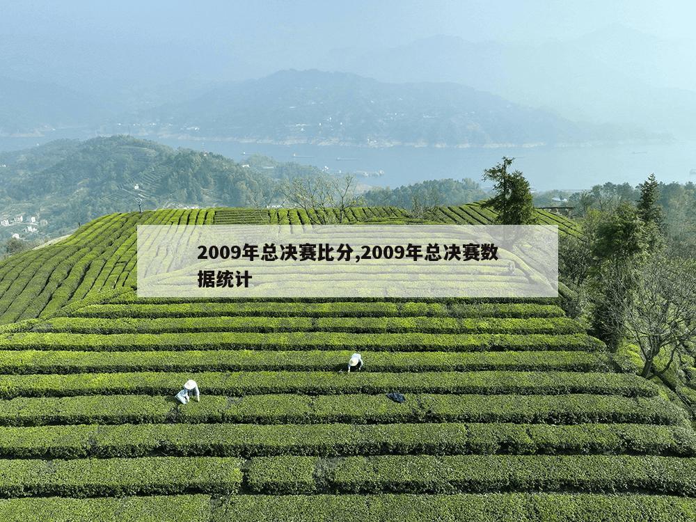 2009年总决赛比分,2009年总决赛数据统计