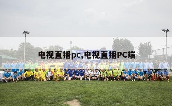 电视直播pc,电视直播PC端