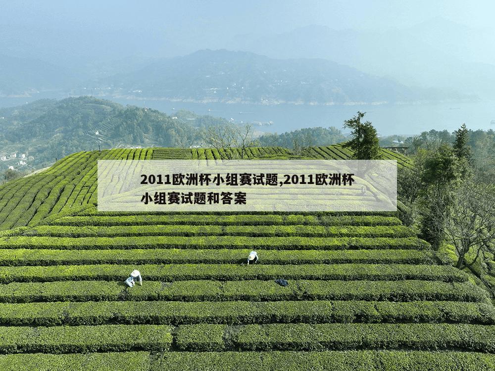 2011欧洲杯小组赛试题,2011欧洲杯小组赛试题和答案